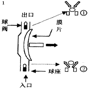 隔膜式計(jì)量泵工作原理