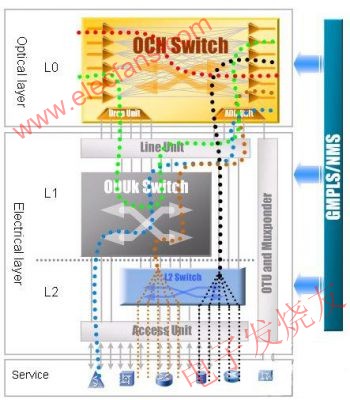 ZTE DWDM 光、電交叉業務調度模型 m.xsypw.cn