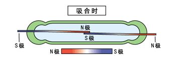 干簧管應(yīng)用入門級手冊