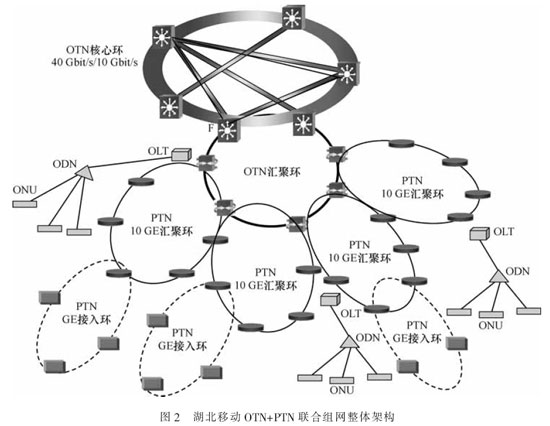 典型組網結構