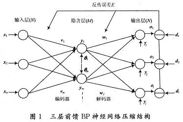 三層BP神經網絡結構