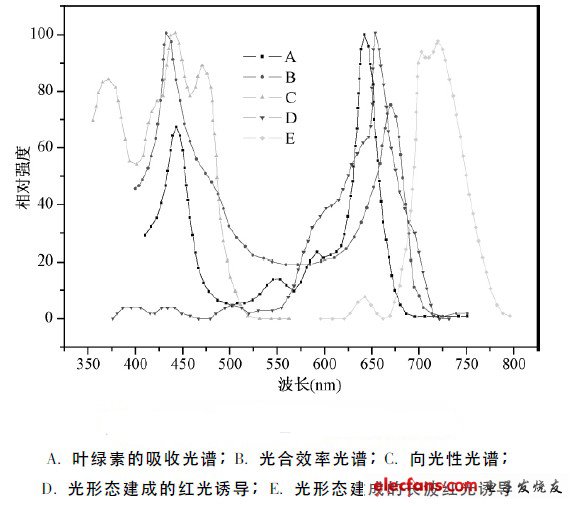 圖1 五個主要的植物光生化反應作用光譜