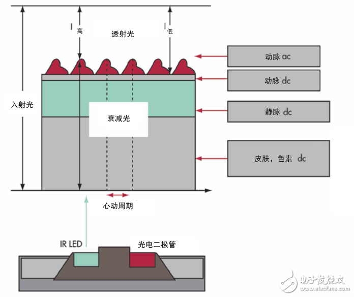 仿生傳感技術引領全新健康生活