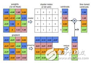 圖4 權(quán)值量化前向和后向計算過程