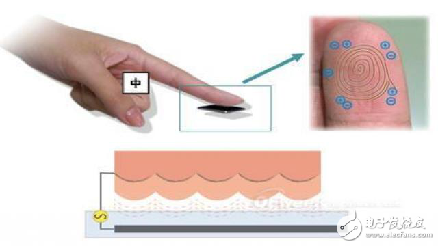 垂直射頻 新型指紋識別技術助力智能手機更便利