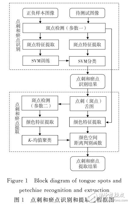 舌診圖像點刺和瘀點的識別與提取