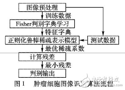 基于正則化魯棒稀疏表示腫瘤細胞圖像識別