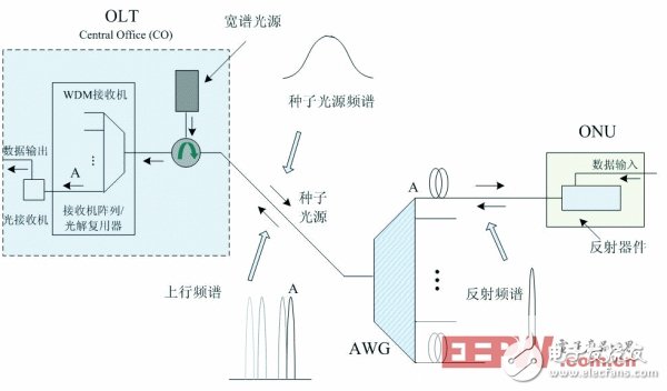 圖2 ONU 中無光源的WDM - PON 系統