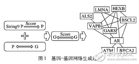 人類互作網絡拓撲模塊分析