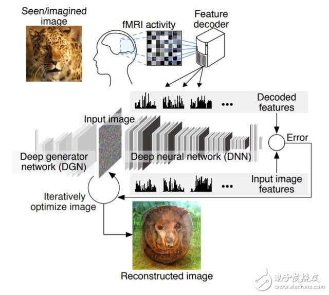 透過「譯碼」腦波，日本團隊的 AI 能重建你腦中所見、所想