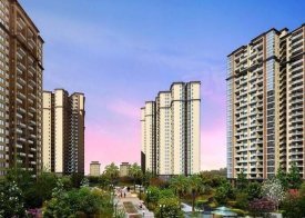 四川科華房地產(chǎn)開發(fā) 區(qū)域?qū)I(yè)化與市場(chǎng)機(jī)遇